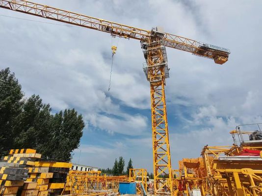 12T QTZ250 7020 gru da costruzione usata 60m di altezza e L68 mastro 2019 anno di produzione